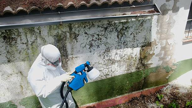 Trusted Bathroom Mold Removal service in Port Royal, PA - Cheap Mold Removal